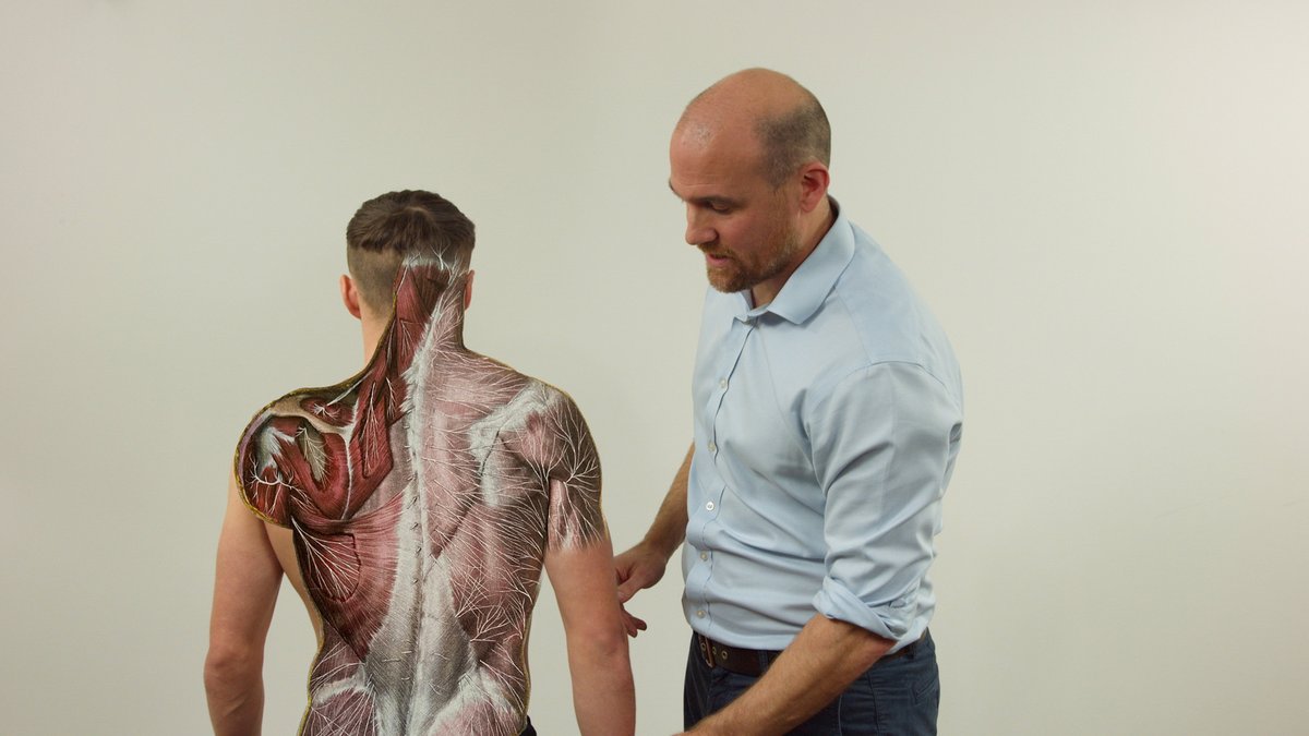 What the heck is @TJQPNI doing here? What could justify this? Find out tonight what happened to Louis in the last of the #orthohub series from Tom; B.plexus examination - fully explained. The very pinnacle (and most baffling) of nerve exams. #brachialplexus #orthotwitter