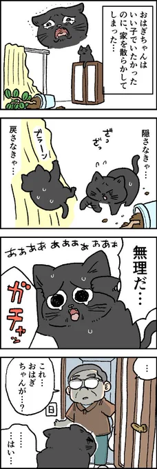 別のしんぱい│フェリシモ猫部 https://t.co/3j89CwHZ4v 