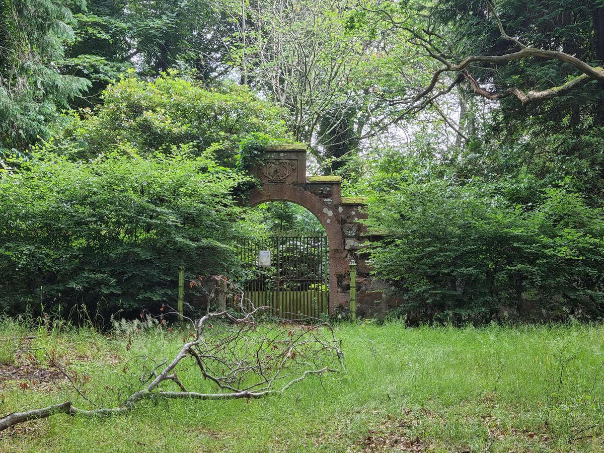 HighlandL4ss's tweet photo. This walled private burial ground of the Mackenzies of Coul originally inspired the Wintrig Mausoleum in the #JingleHell #DnD campaign in The Eaoldland, Talamh-Àrd.
Also has remains of a Bronze Age burial Tomb.
Not yet visited by @sethnidilaw @TheGamersRest @jdhrowe 😉 https://t.co/OvV4CTe9Vp