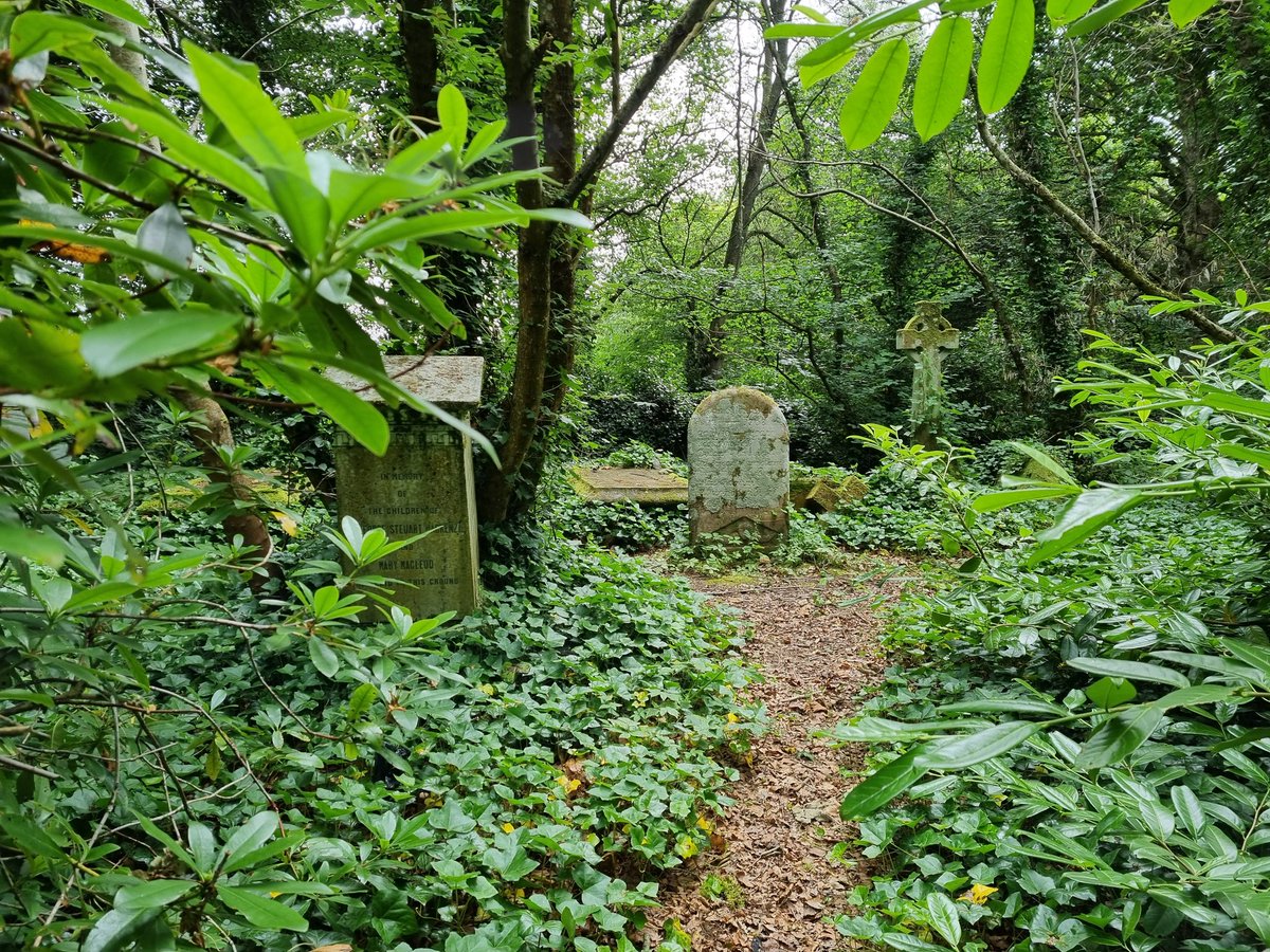 HighlandL4ss's tweet photo. This walled private burial ground of the Mackenzies of Coul originally inspired the Wintrig Mausoleum in the #JingleHell #DnD campaign in The Eaoldland, Talamh-Àrd.
Also has remains of a Bronze Age burial Tomb.
Not yet visited by @sethnidilaw @TheGamersRest @jdhrowe 😉 https://t.co/OvV4CTe9Vp