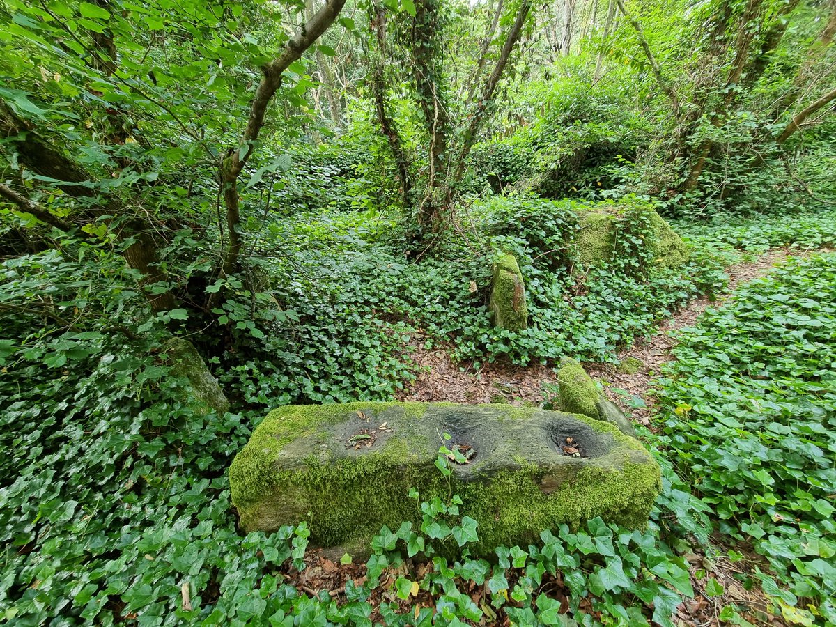 HighlandL4ss's tweet photo. This walled private burial ground of the Mackenzies of Coul originally inspired the Wintrig Mausoleum in the #JingleHell #DnD campaign in The Eaoldland, Talamh-Àrd.
Also has remains of a Bronze Age burial Tomb.
Not yet visited by @sethnidilaw @TheGamersRest @jdhrowe 😉 https://t.co/OvV4CTe9Vp