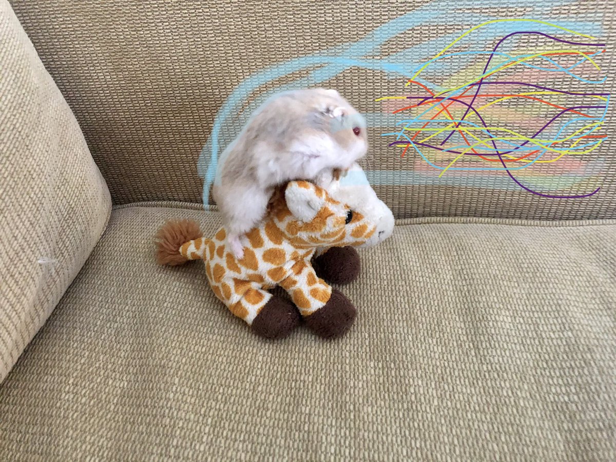 Gerbil_Horde's tweet photo. @wolf_hopper @Gaston04425964 <desperately searches archive>

Ah ha!

Sossij leading the charge!!

#StayGerbil 🐹
#RIPSossij
#BattleGiraffeWars
#Alt https://t.co/P3yp4AFuXF