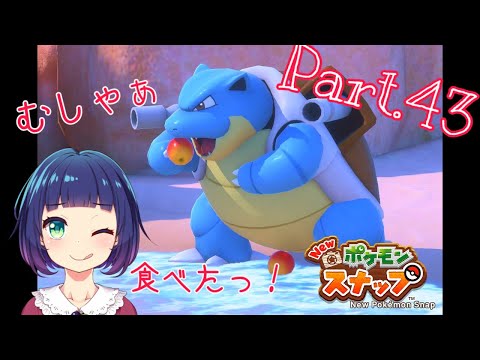Mei 新しい動画が アップ出来ましたーっ 良かったら覗きに来てくださいませଘ ੭ˊ ˋ ੭ ゲーム実況 不意打ち のカメックスに心を打ち抜かれる Newポケモンスナップ Part43 T Co Dpp3o9zere T Co Typmndmtbw Twitter Mei 新しい動画が アップ出来ましたーっ 良かったら覗きに来てくださいませଘ ੭ˊ ˋ ੭ ゲーム実況 不意打ち のカメックスに心を打ち抜かれる Newポケモンスナップ Part43 T Co Dpp3o9zere T Co Typmndmtbw Twitter