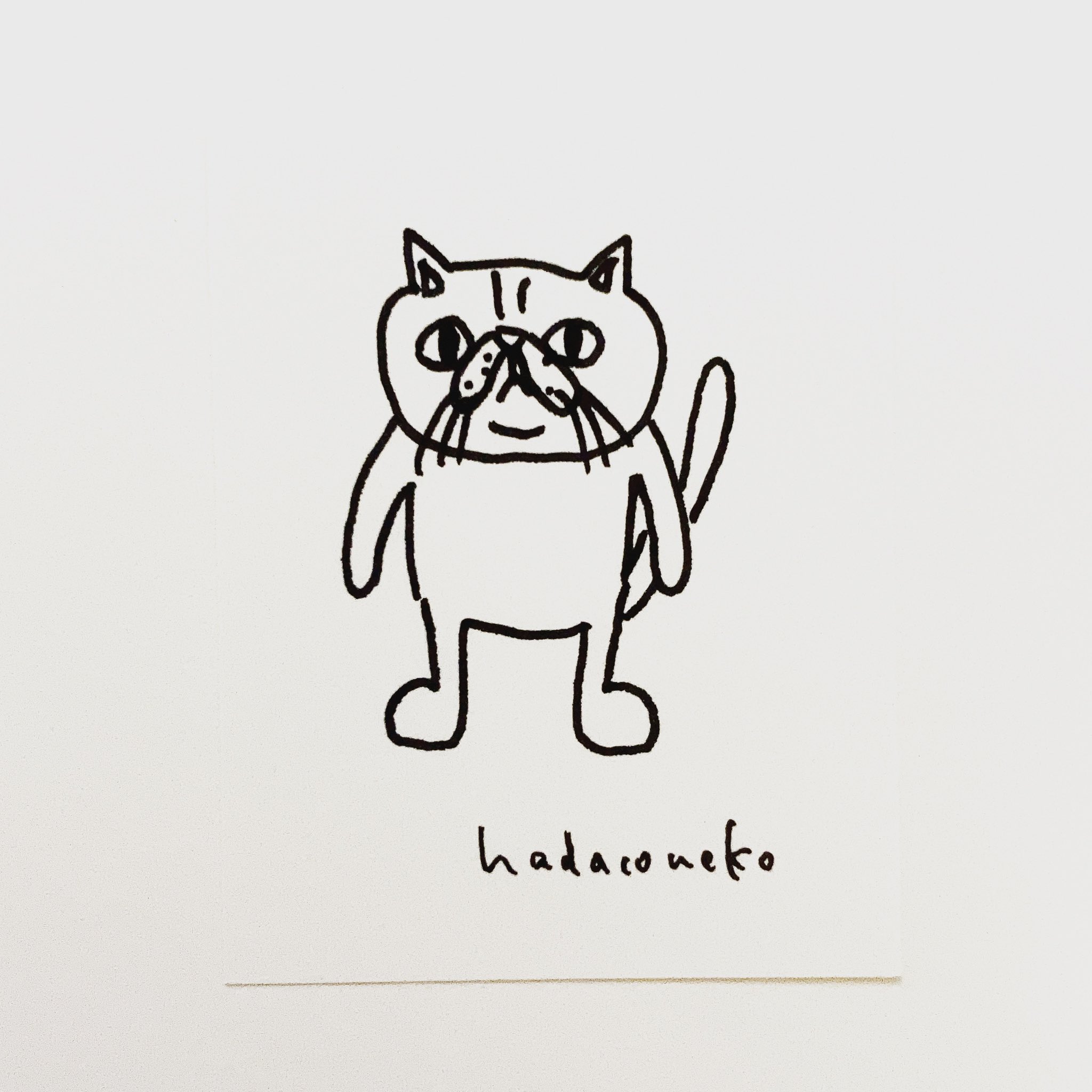 肌子 今日のイラストはコレ ｪ ブサカワ猫のエキゾチックショートヘア イラスト 猫 ネコ ねこ オリジナル ペン画 アナログ画 絵 猫の絵 白黒猫 エキゾチックショートヘア T Co M4mnqhgmzm Twitter