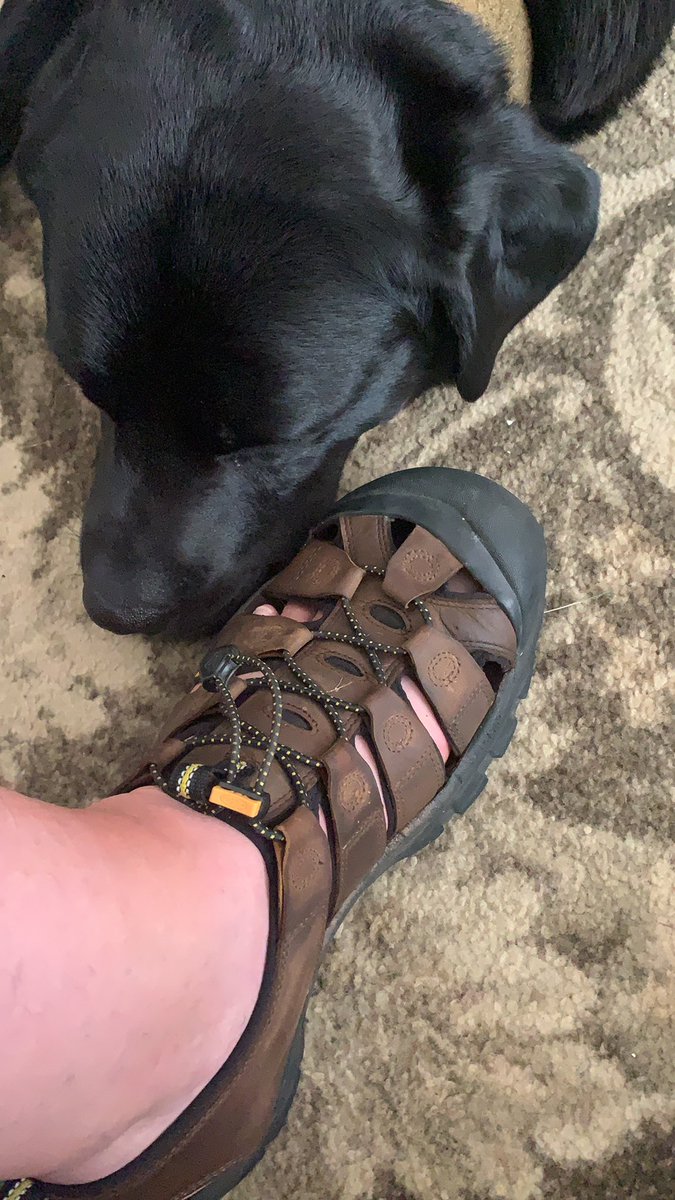 bimbler's tweet photo. @KEEN my “waterproof” sandles are still saturated 18 hours later 😕 https://t.co/hLwpljXnyZ