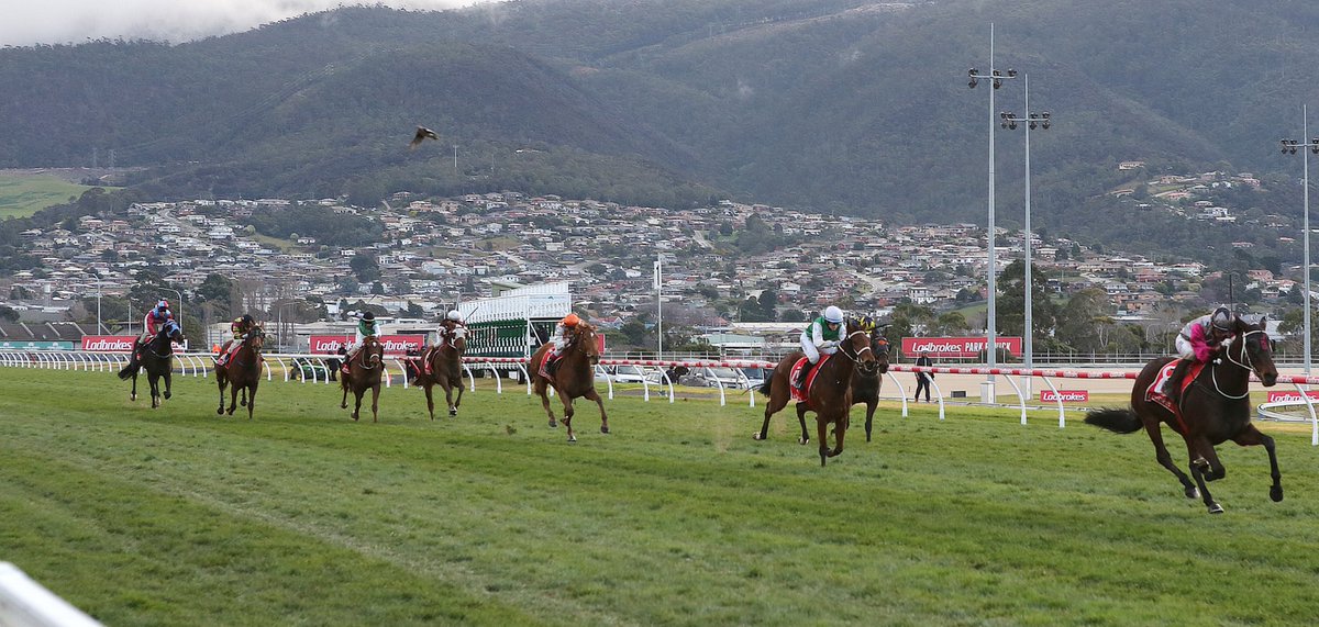 Winning picture of costero. M J Fiteni &amp; Ms K M Stewart