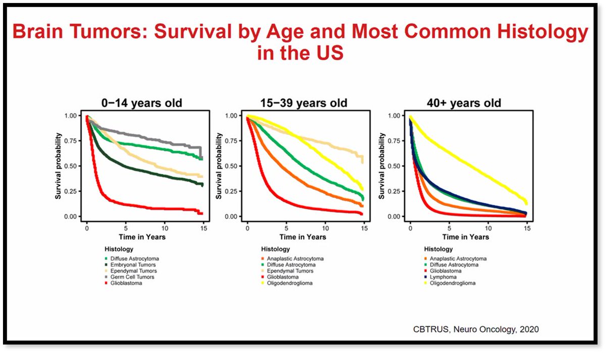 Weekend highlight was the 7.24.21 meeting of CBTRUS, its Board of Directors and the <a href="/theABTA/">American Brain Tumor Association</a> leadership. Kudos to Carol Kruchko, President, and PIs @NCIJBSloan and @QOstrom who annually produce the widely cited CBTRUS report published in Neuro-Oncology. <a href="/BrainTumorStats/">Central Brain Tumor Registry of the United States</a>