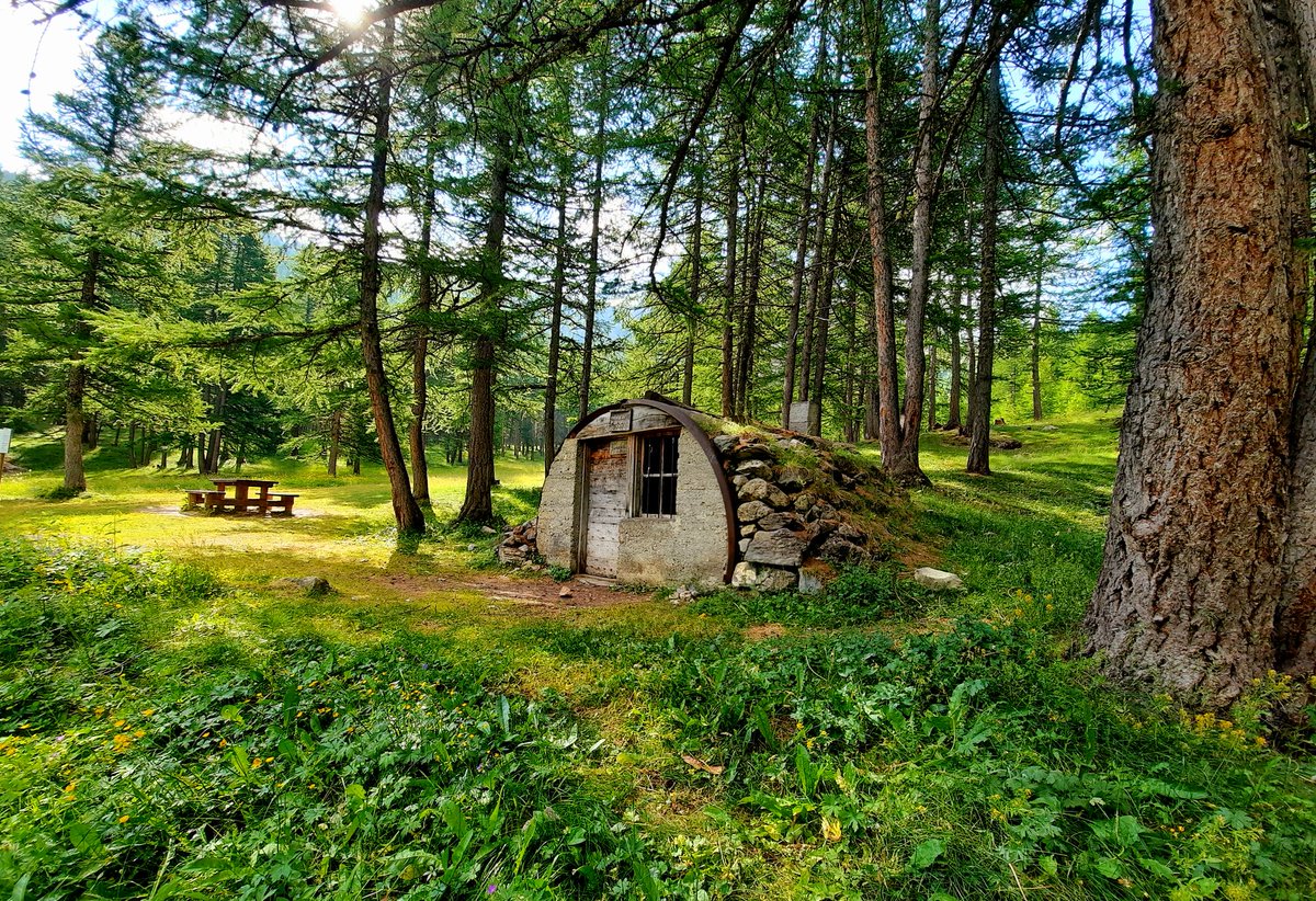 Gites05's tweet photo. Envie de fraîcheur ?  On a trouvé le lieu idéal pour vous poser.
Belle semaine aux chanceux qui sont en vacances et à tous les autres aussi.
Réservation sur https://t.co/nd2FwbkvLI https://t.co/TlK5gxWSVm