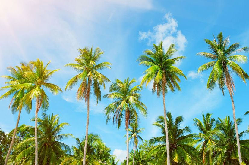The ongoing #Covid19 crisis places continued downward pressure on the Caribbean #telecom sector
buff.ly/2I3t47g