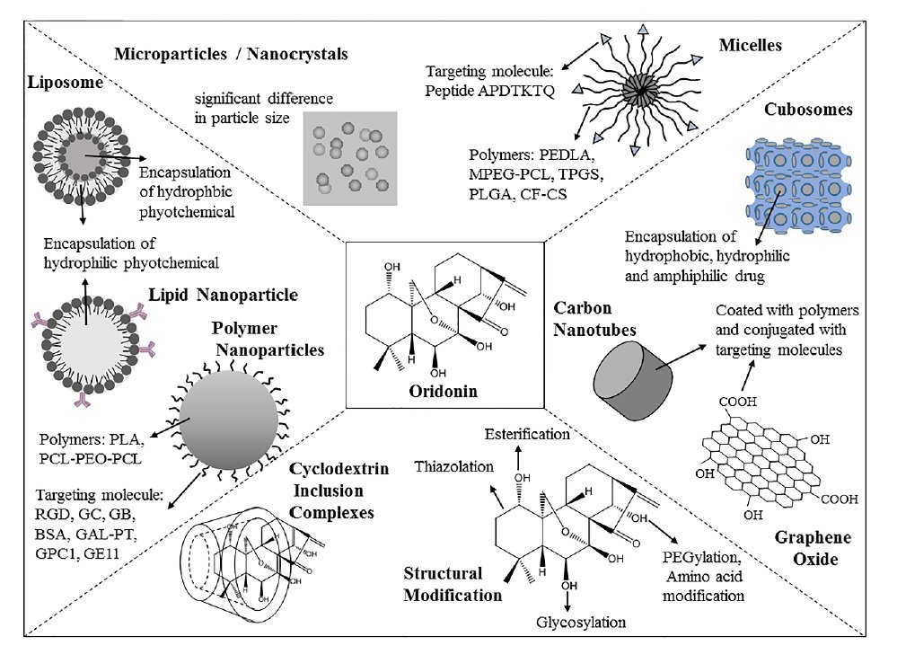 Molecules_MDPI's tweet photo. #HighlyCitedPaper #HighlyAccessedPaper
Solubility and Bioavailability Enhancement of Oridonin: A Review
By Liqiao Zhu, Huagang Sheng, et al.
👉https://t.co/Wmr3eBOTBv
#oridonin
#structuralmodification
#formulations
#bioavailability
#biologicalactivity https://t.co/DPQbTL2d2f