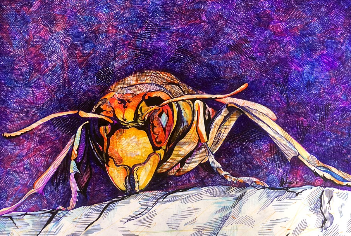「蜂さん描きました!
危険を具現化させたようなかっこよさ✨
#ボールペン画 #イラ」|けんしん@半年待ってくださいのイラスト