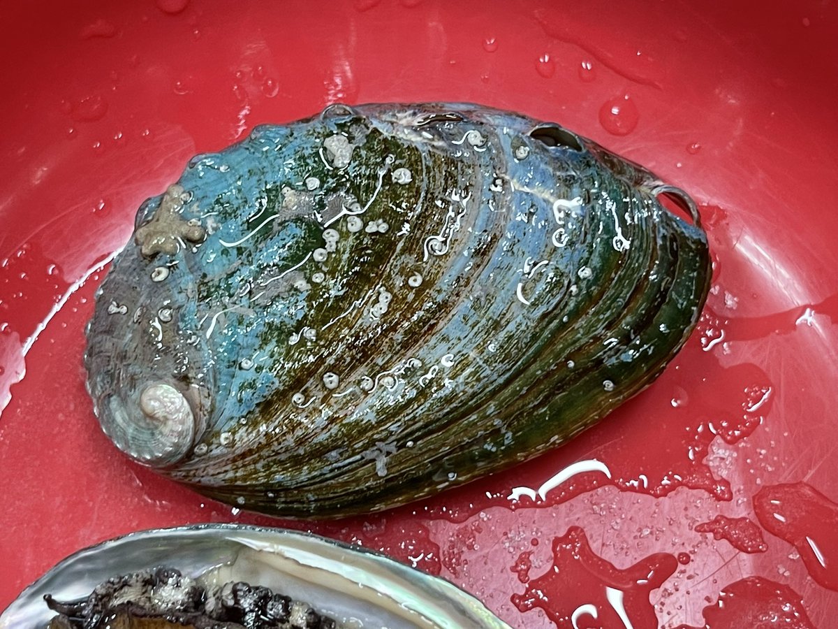 みなせ 普通のサラリーマン 湯が沸きました