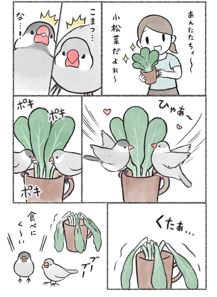 マンガ「ポキポキ」

#文鳥 #buncho 