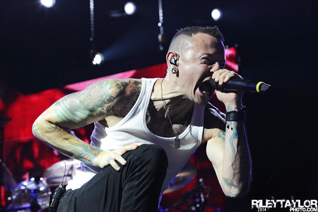 LinkinParkPlus's tweet photo. GALLERY UPDATE:

🏙 Linkin Park - Carnivores Tour in Toronto, Canada
📅 August 24th, 2014
📸 @larvalungs 

Check out the full gallery here -> https://t.co/oG8z9X4zhF https://t.co/Ubmhh9kFFu