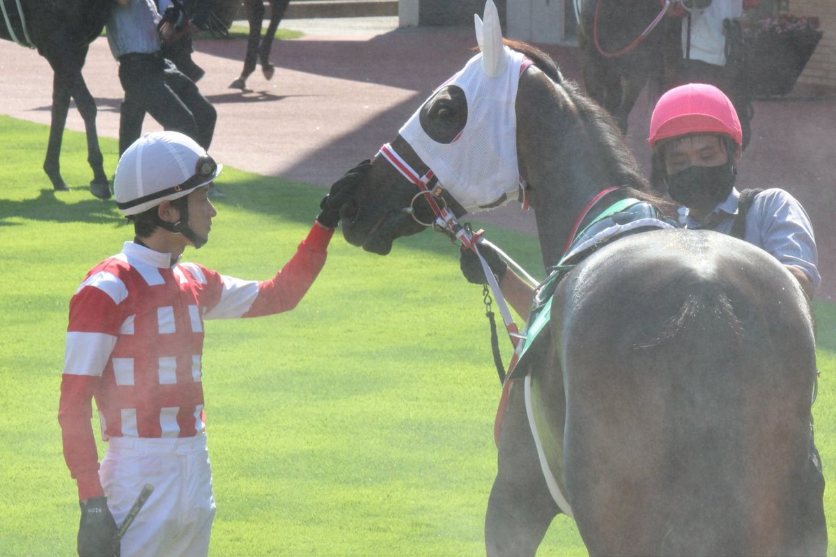 牝馬 Jra のtwitter検索結果 Yahoo リアルタイム検索