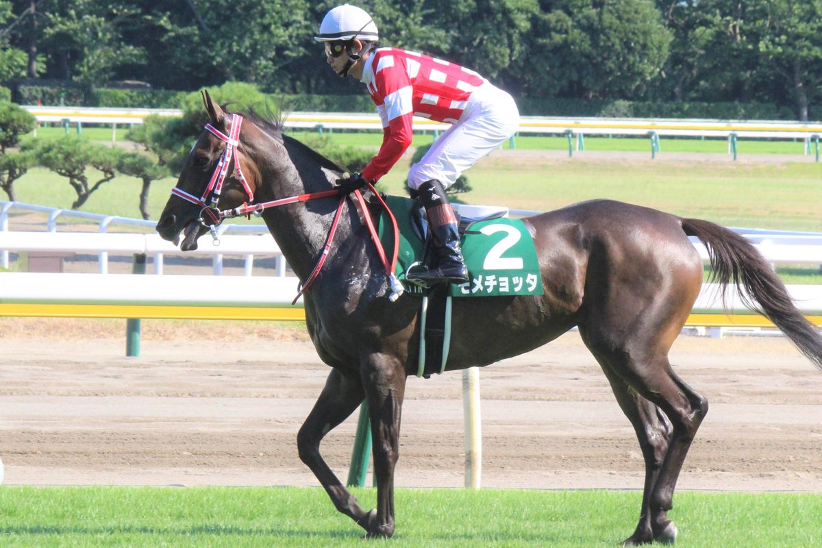 牝馬 Jra のtwitter検索結果 Yahoo リアルタイム検索