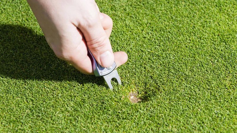 WragBarn's tweet photo. We love our community of members @WragBarn - they’d be even easier to love if everyone remembered to repair their pitch marks and rake the bunkers. 
If someone hasn’t realised they made a pitch mark - maybe do it for them? 
PS - please keep up with the group in front.
#loveyou https://t.co/ejJYqJfaLA