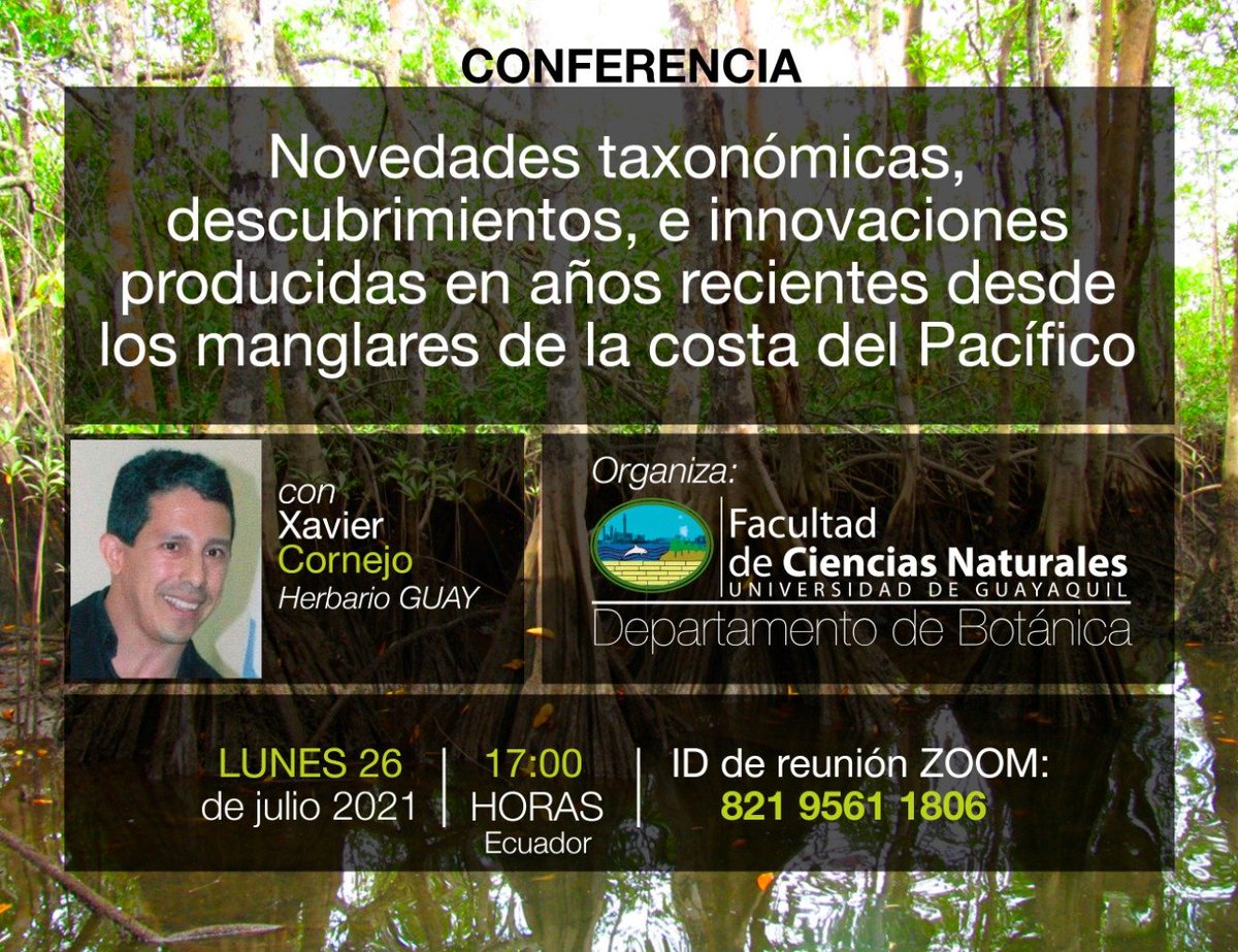 Hoy lunes 26 jul. 2021, 17:00 h
Plataforma: Zoom 
 cedia.zoom.us/j/82195611806 
ID de reunión: 821 9561 1806