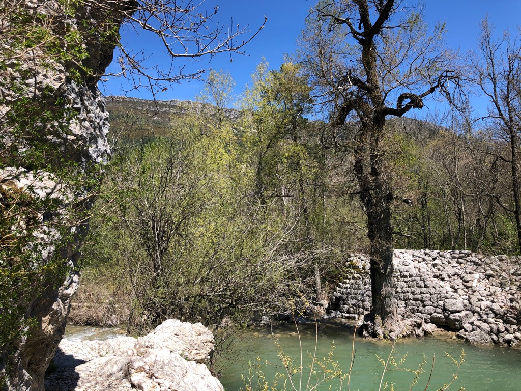 niceyeastlab tweet media