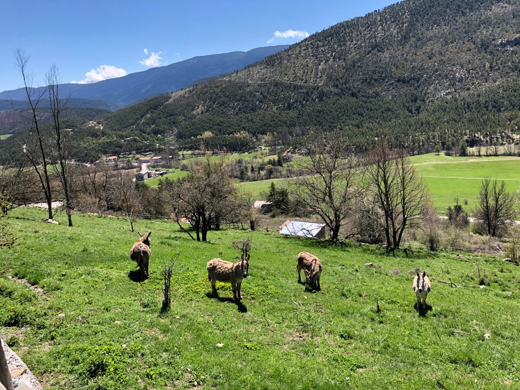 niceyeastlab tweet media