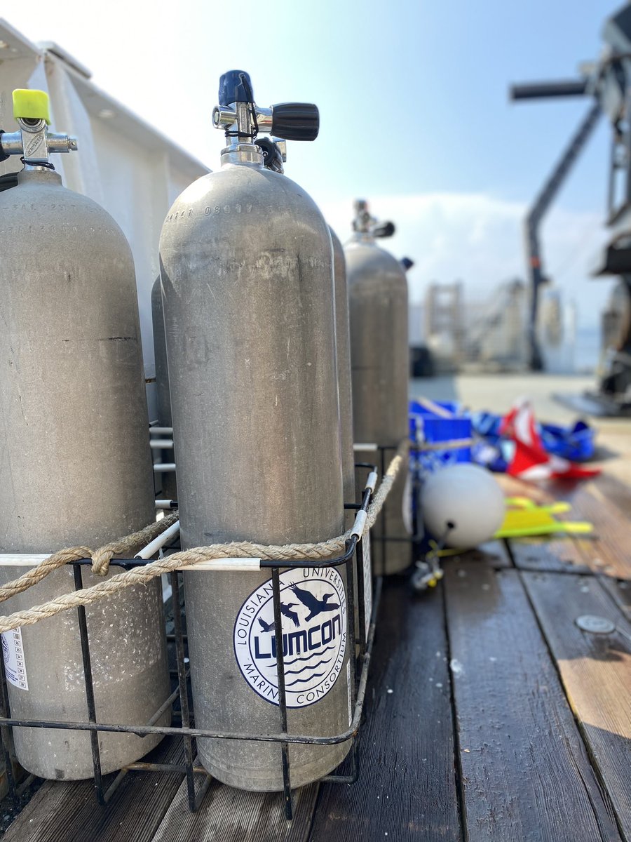 _kel_moran's tweet photo. A good couple of days diving with @LUMCONscience off of the #rvpointsur deploying and checking on @USNRL sensors in the Gulf of Mexico.

#womeninscience #oceanography #scientificdiver #lsu #womeningeoscience #PhDlife https://t.co/yVg3eCJV4s