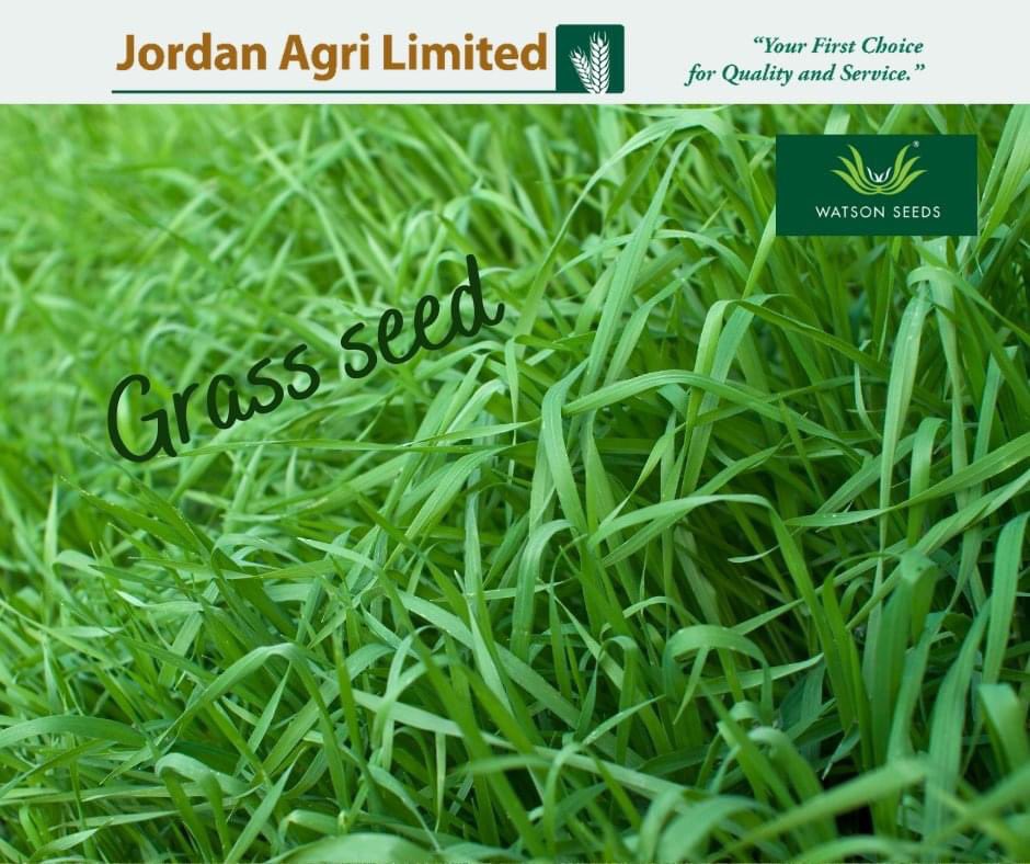 AgriJordan's tweet photo. 🌱 Watsons Grass Seed 🌱
https://t.co/pDMlVj4snN

Jordan Agri supplies @WatsonSeeds who have an extensive range of PREMIUM PERFORMANCE grass seed mixtures, designed to cater for all your reseeding situations.

#jordanagri  #silage #dairy #beef https://t.co/esgbMPrz77
