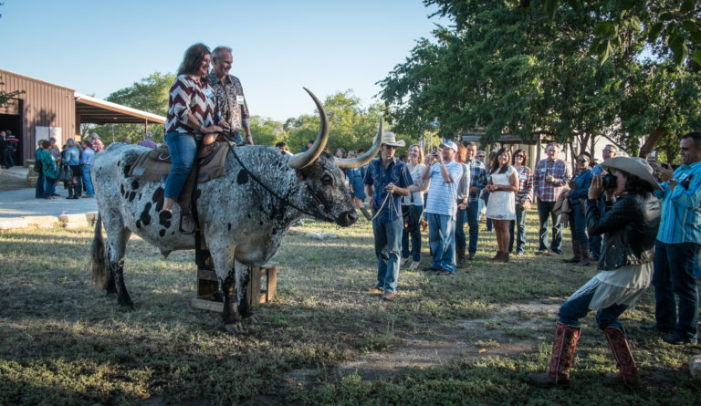 RiverRanchStockyards tweet media