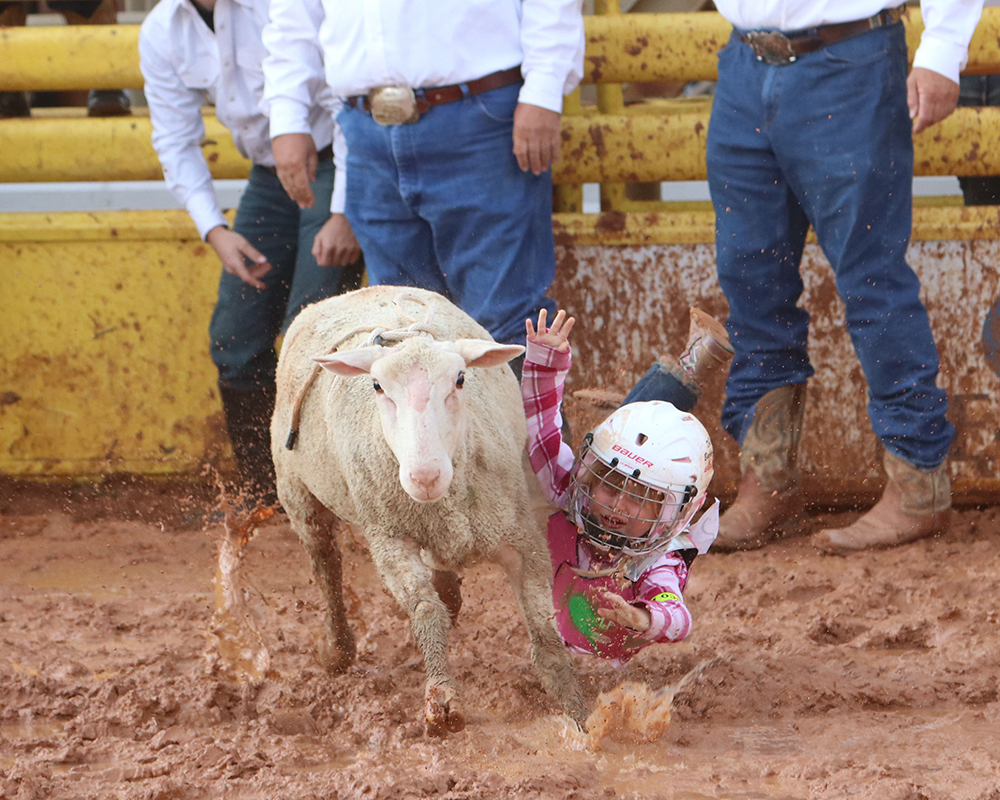 TwisTEDRodeo's tweet photo. #MuttonBusting is always fun, and it's a big event at many rodeos across the country. The @LeaCountyFair goes above and beyond with its sheep riding every year, and this year is no different. https://t.co/URCtxfeXUz 📸 Peggy Gander https://t.co/6nJJLOVcXS