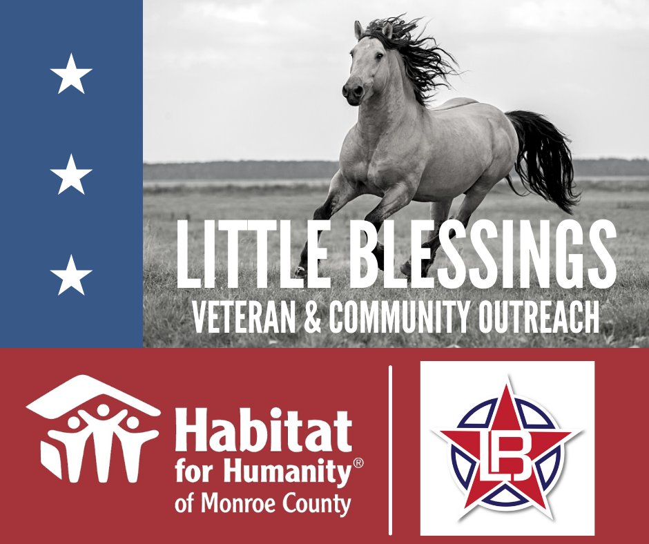 Habitat for Humanity tweet media