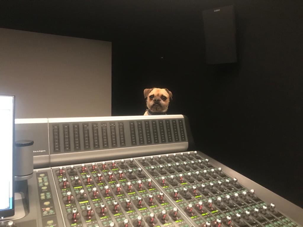 Who can have the Monday blues with a face like this at work? 😂