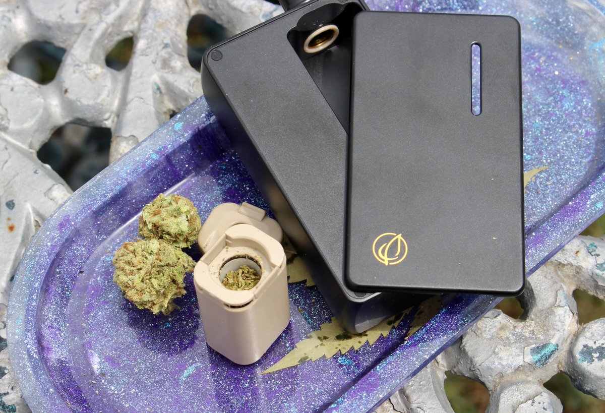 SDCannaBlogger's tweet photo. Puff, puff... puff on the DotLeaf V1.5 Dry Herb Vaporizer I talked about this week on CannaBlogger's Corner with the help of @w0lfpackh0wl members Shayna and Will. We compare notes on all our favorite features and enjoy a few puffs of our own: https://t.co/YBmejWPeQ2 https://t.co/P6FvmnxX5A