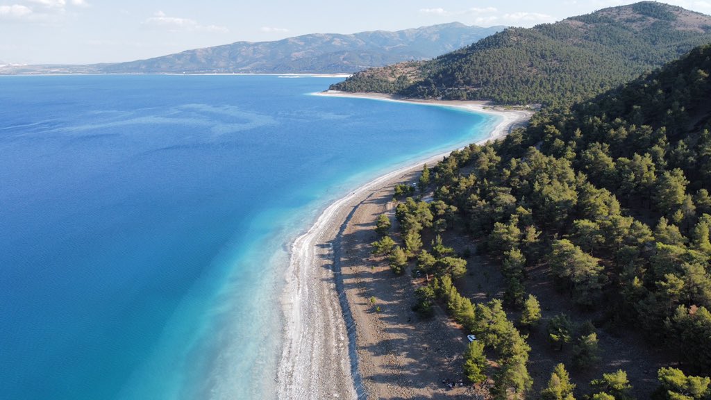 الشوق tweet media