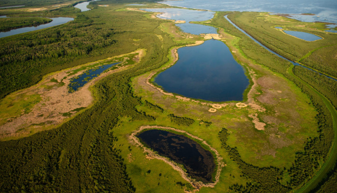 cpaws's tweet photo. #Indigenous communities, civil society organizations and concerned scientists across Canada welcomed a recent decision by the #WorldHeritageCommittee to request a second Reactive Monitoring mission to #WoodBuffaloNationalPark.

Read full statement:  https://t.co/X4cEFtARfY https://t.co/0lyhrJFg8J
