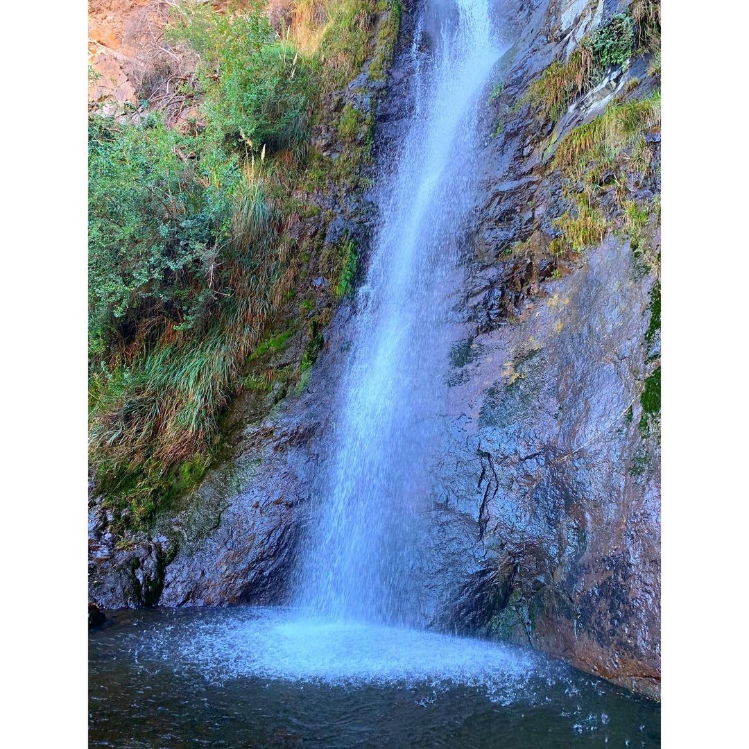 ¡El Salto nunca deja de sorprender!