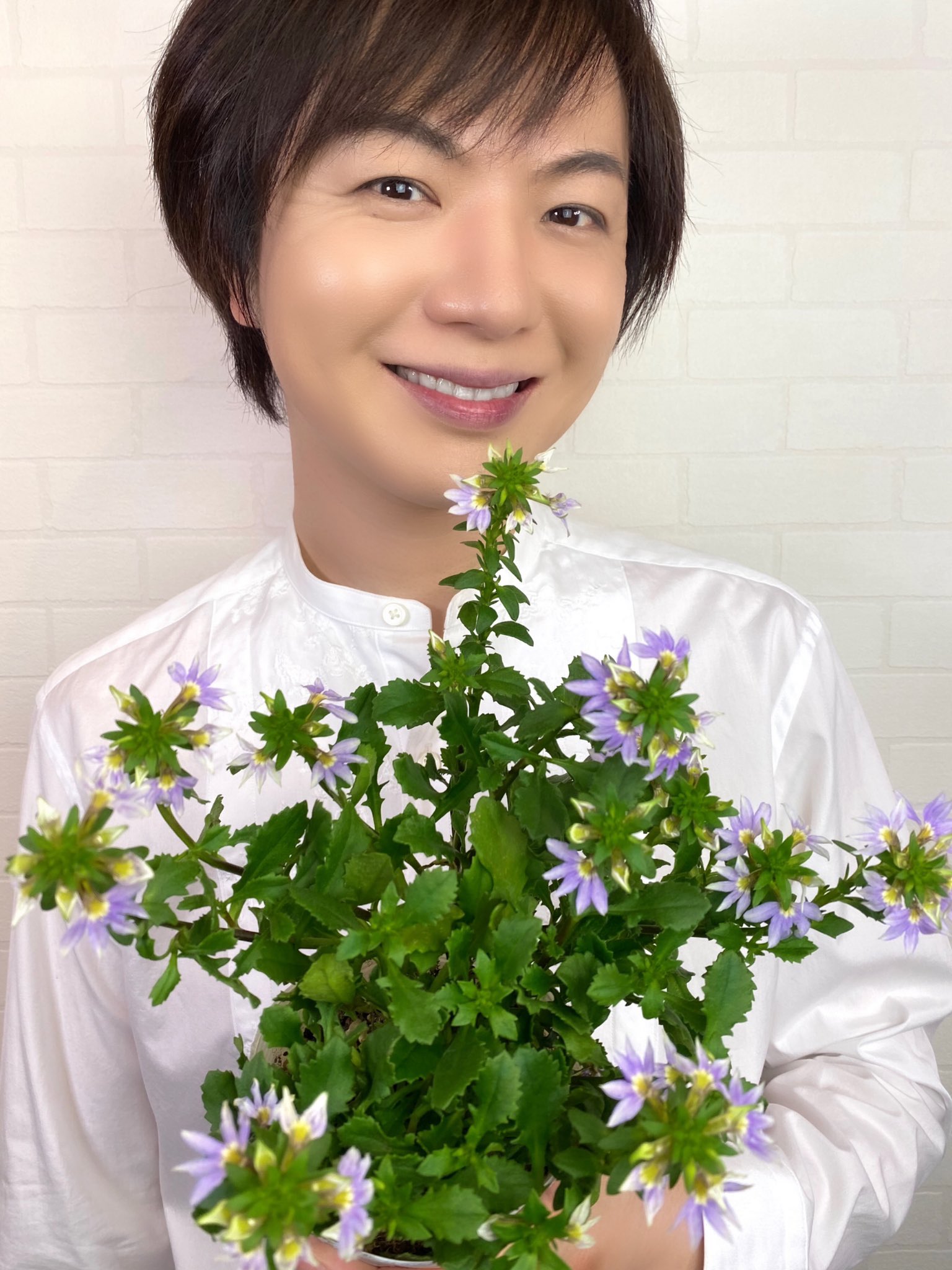 竹島宏スタッフ 公式 ブルーファンフラワー 花言葉は 涼しい風を運ぶ人 扇を開いたような形をした花 暑い日が続く今にぴったりな 花言葉ですね 今日も１日お疲れ様でした ひろネット 花便り 花言葉 花 花を贈ろう 花のある生活 花の