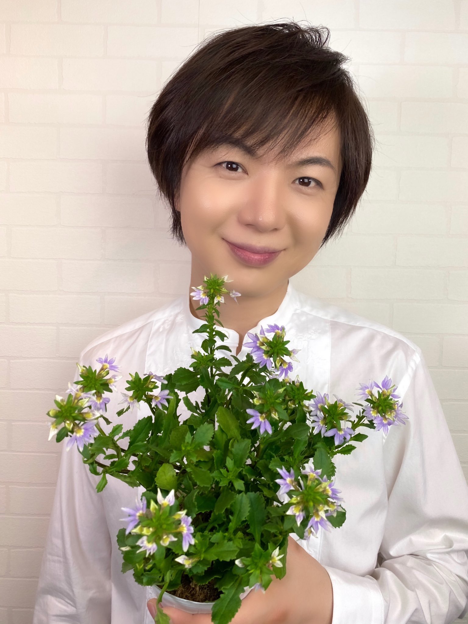 竹島宏スタッフ 公式 ブルーファンフラワー 花言葉は 涼しい風を運ぶ人 扇を開いたような形をした花 暑い日が続く今にぴったりな 花言葉ですね 今日も１日お疲れ様でした ひろネット 花便り 花言葉 花 花を贈ろう 花のある生活 花の