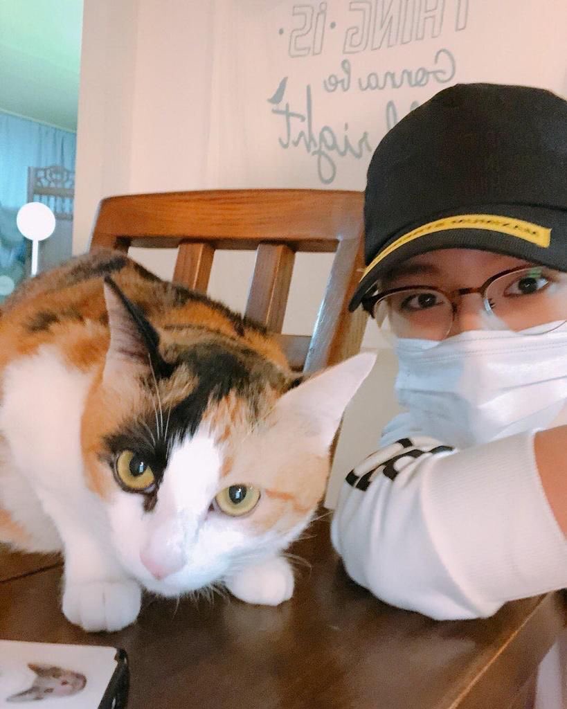 jenmong23's tweet photo. jeno’s cats 🐱📸 https://t.co/KgpVkCFoeU