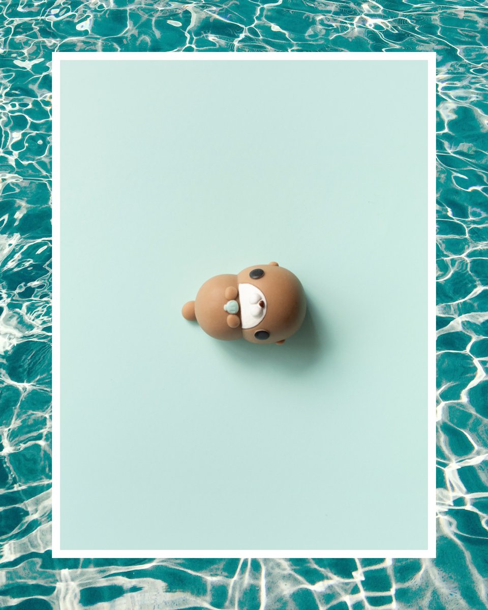 らっこ Twitter Search