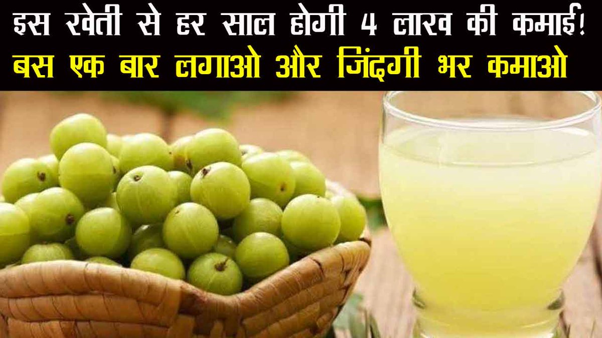 ETHindi's tweet image. इस फल की खेती से जिंदगी भर हर साल होगी 4 लाख रुपये तक की कमाई!
navbharattimes.indiatimes.com/video/business…
#AmlaFarming #Farming #businessideas