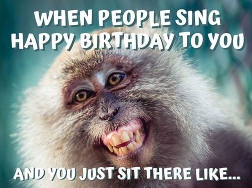 Happy Birthday Memes on Twitter: Happy Birthday Memes on Twitter: