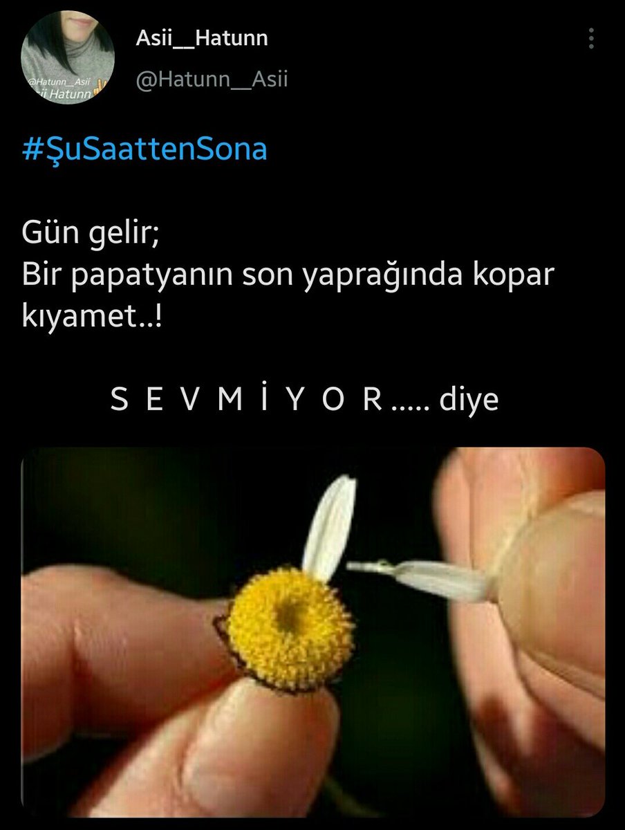 Hatunn__Asii's tweet photo. @AngaralRt2 @Adigewmn @aynur35moonligh @monalis_h @ylz6866 @Buketmekan34 @MehmetY77034052 @ulkulilyy @dogan_ram @rdvsvn @mrdelikedi @__Cadikralcem__ @GlKokulu61 @cengiz07072 @pndrkts @AydanKrl1 @dilahn22 @nflames11 @ism_daisy @askbeyiserkan @OzbCkm58 #ŞuSaattenSona https://t.co/ibYo61pFhM