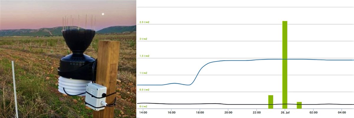PlantaeGarden's tweet photo. ¡La noche anterior dejó una buena tormenta en Madrid! En agricultura, eso significa la buena noticia para nosotros de agua para la tierra.
Con la #estacionMeteo de #Plantae recibe en tu móvil la información de cuánto ha llovido y del impacto en el suelo.
https://t.co/Ji9DlQ7Pcr https://t.co/SZqaW3AMKf