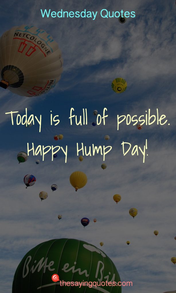 hump day quotes