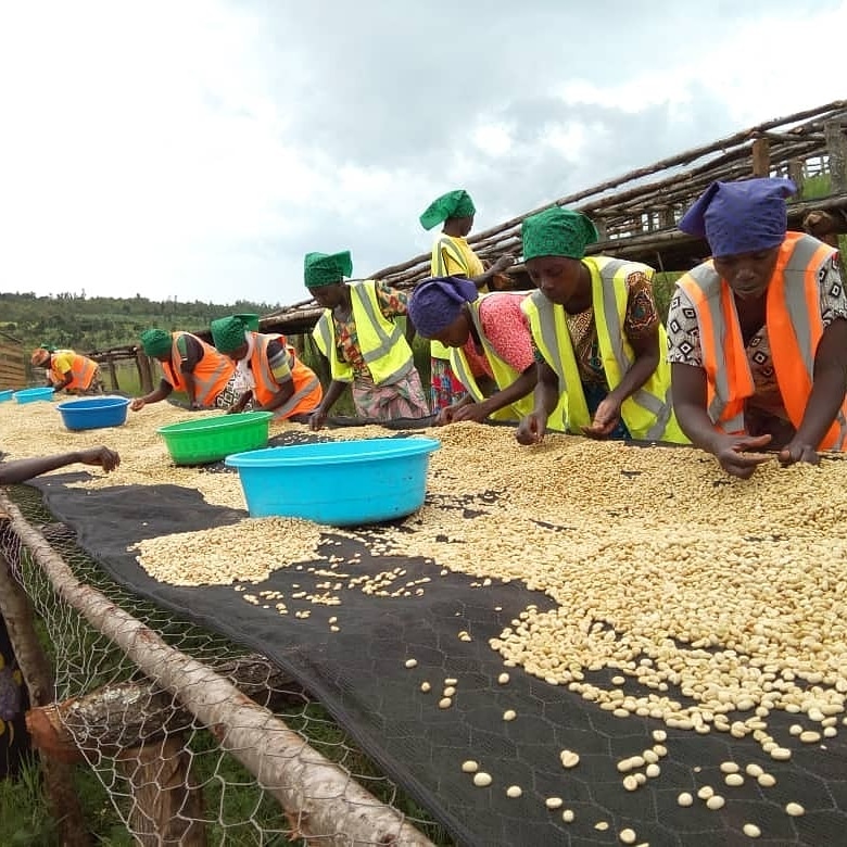 Twongere Umusaruro wa Kawa (@tukcoop) on Twitter photo Ranked 30th best coffee in the world! βA woman is capable & powerfulβ is the moto of @tukcooperative, producing fine Arabica. Contact us <a href="/TUKCoop/">Twongere Umusaruro wa Kawa</a>
<a href="/NIYOJAIME/">NIYONKURU Jean Aime</a> <a href="/SustainableGro/">Sustainable Growers</a> <a href="/SustHarv/">Sustainable Harvest</a> Ranked 30th best coffee in the world! βA woman is capable & powerfulβ is the moto of @tukcooperative, producing fine Arabica. Contact us <a href="/TUKCoop/">Twongere Umusaruro wa Kawa</a>
<a href="/NIYOJAIME/">NIYONKURU Jean Aime</a> <a href="/SustainableGro/">Sustainable Growers</a> <a href="/SustHarv/">Sustainable Harvest</a>