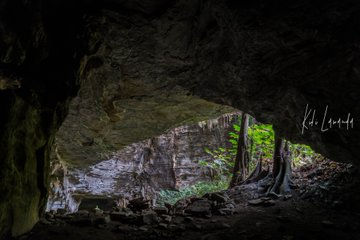 Le Congo Est Chic tweet media