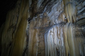 Le Congo Est Chic tweet media