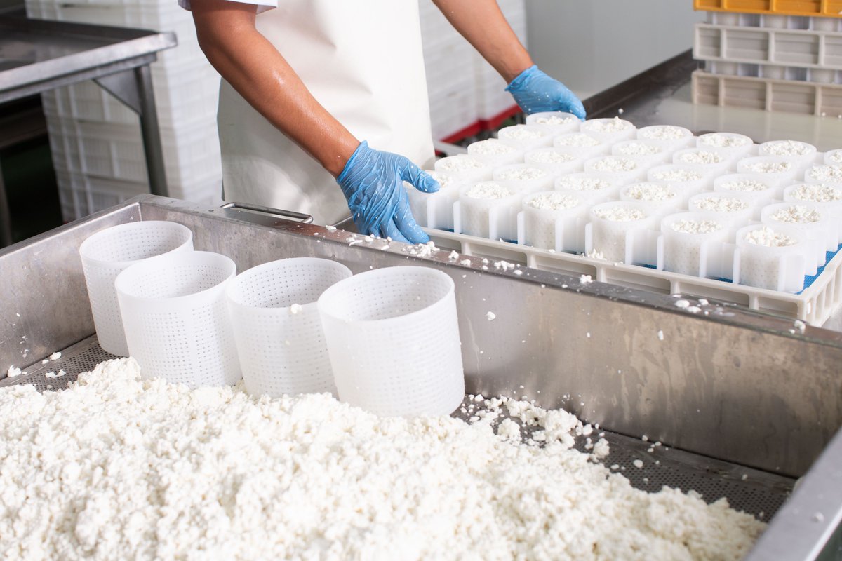 corsevilla_'s tweet photo. Las manos, secreto de nuestro queso artesano. 🧀
🥛 Las que convierten la leche en queso.
🧑🌾 Las que han aprendido de la tradición.
💚 Las que te cuidan.
#queso #quesoartesano #cheese #quesofresco #whitecheese #quesodecabra #sierranortedesevilla #cooperativa #ganaderiaextensiva https://t.co/OMsMwRT5o6