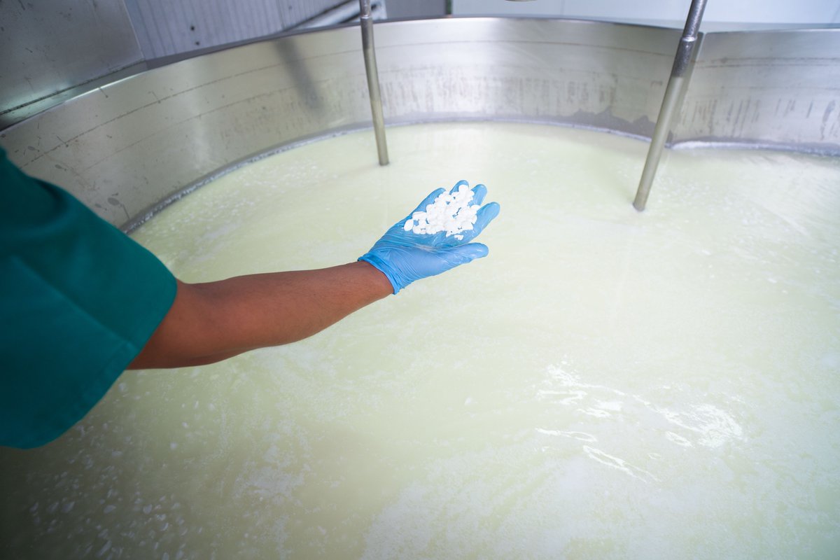 corsevilla_'s tweet photo. Las manos, secreto de nuestro queso artesano. 🧀
🥛 Las que convierten la leche en queso.
🧑🌾 Las que han aprendido de la tradición.
💚 Las que te cuidan.
#queso #quesoartesano #cheese #quesofresco #whitecheese #quesodecabra #sierranortedesevilla #cooperativa #ganaderiaextensiva https://t.co/OMsMwRT5o6