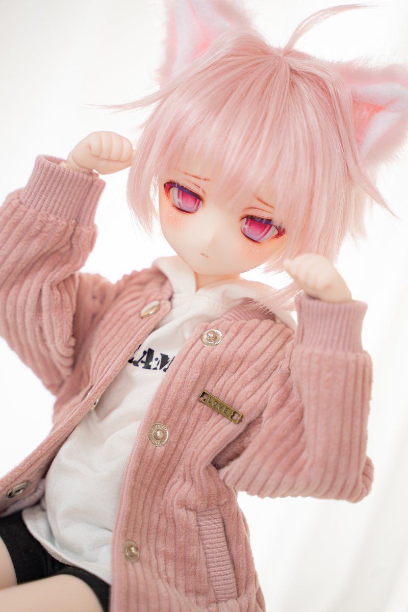 _A1o8's tweet photo. ちよまるに猫耳つくったฅ•ω•ฅ https://t.co/pb7F8e6YEv