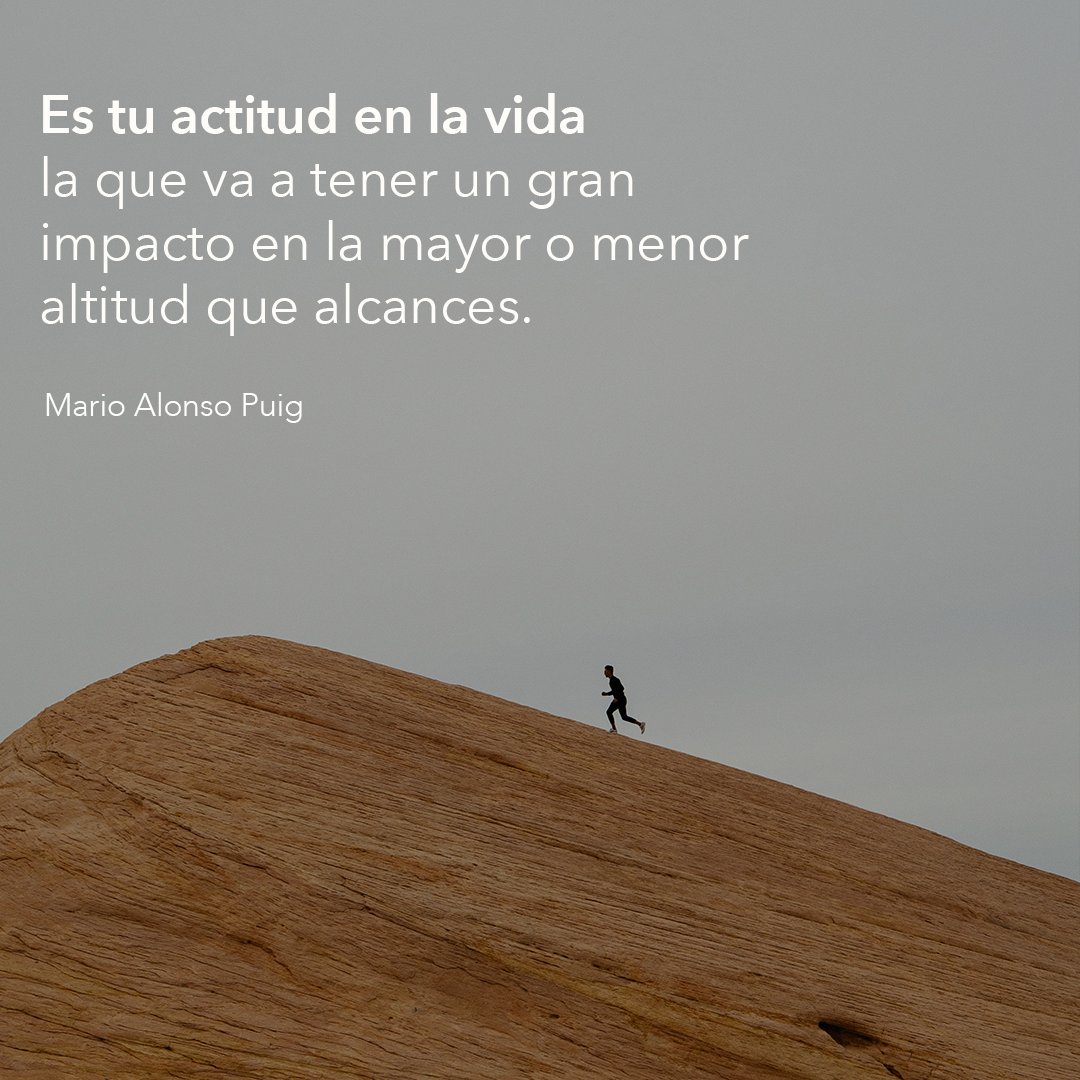 Mario Alonso Puig tweet media